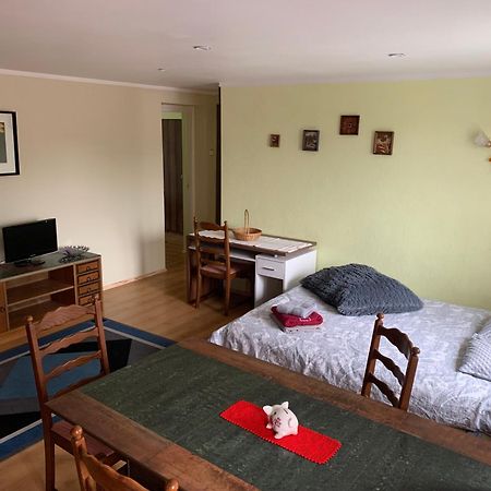 Uus 13B, Beautiful 3-Bedroom Apartment - 3 Big Beds 塔尔图 外观 照片